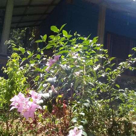 Dambulla Sun Vsh Holiday Екстер'єр фото