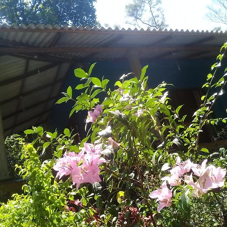 Dambulla Sun Vsh Holiday Екстер'єр фото